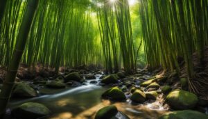 Fargesia robusta - Robust Bamboo